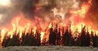 Battle Mtn Fire 2006 ...Credit: USFS Bridger-Teton NF