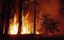 Storrie Fire (Plumas National Forest ,CA) (taken from: nifc.gov)